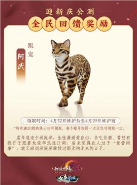 大中国天龙八部私服